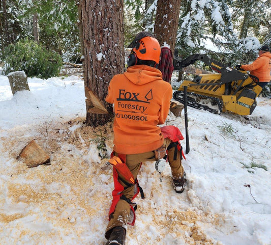 How do you best Negotiate your Tree Removal?
