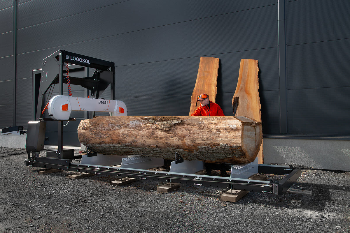 Shoreline Hemlock Stabilization