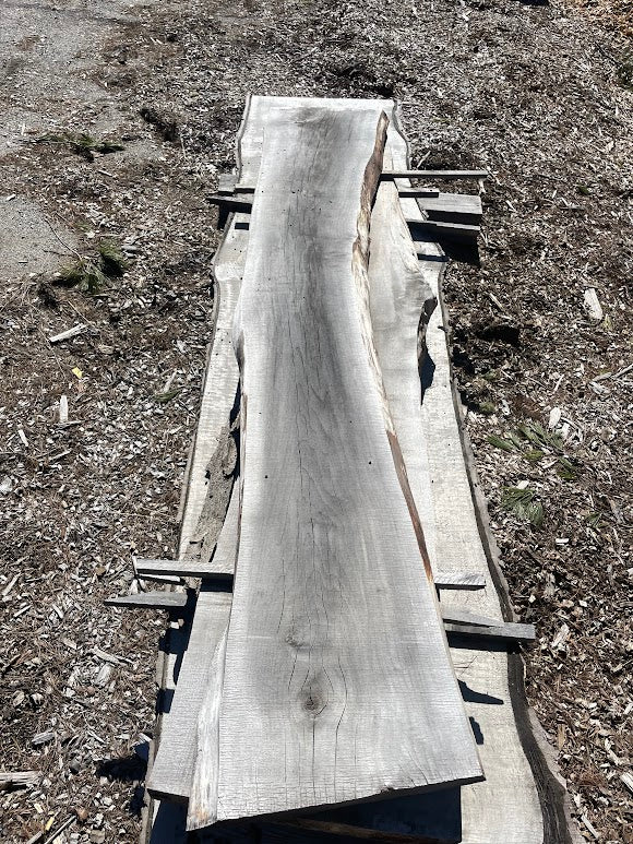 Poplar Slab 10 Foot